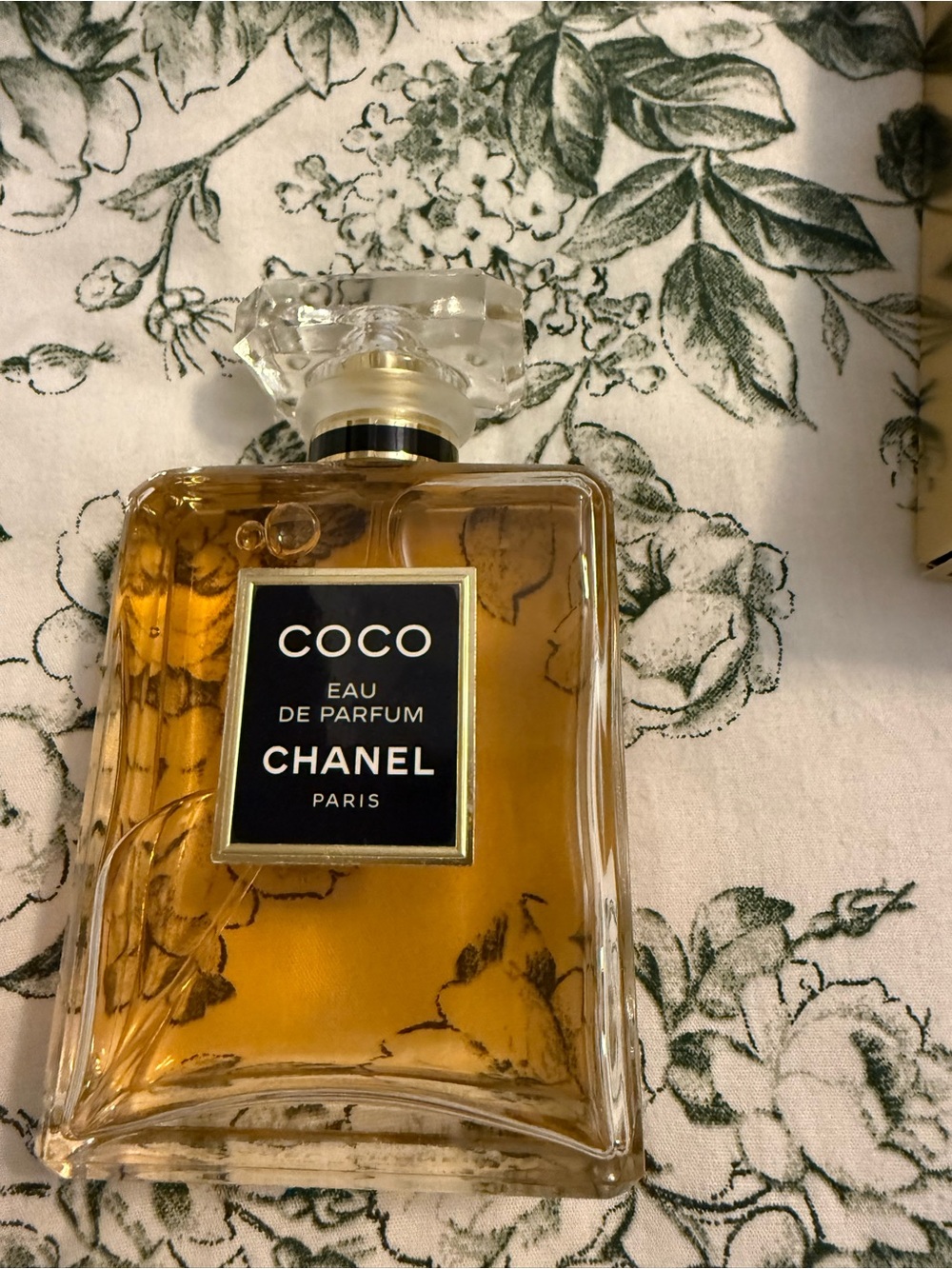 Coco Chanel - Picture 2 of 2